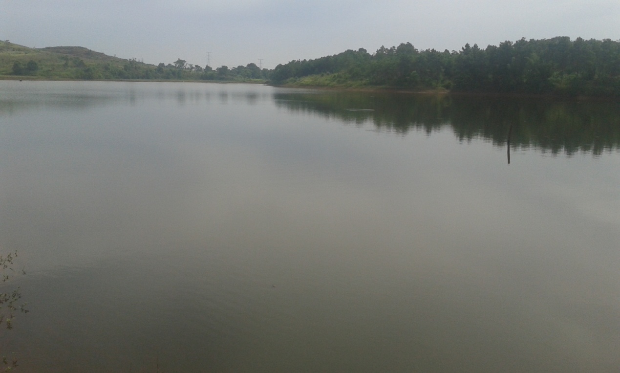 趙兵 LID理論 貴溪公園 休閑綠地