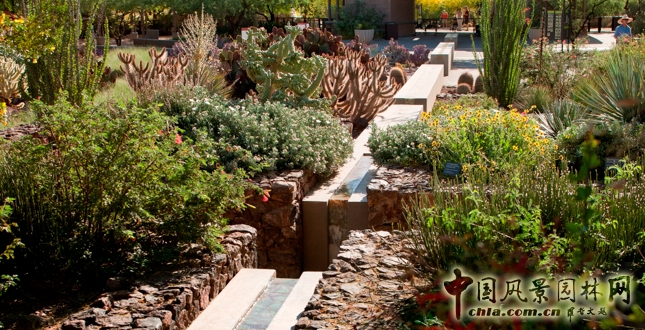 鳳凰城沙漠植物園入口花園