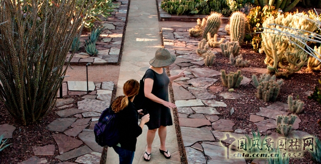 鳳凰城沙漠植物園入口花園