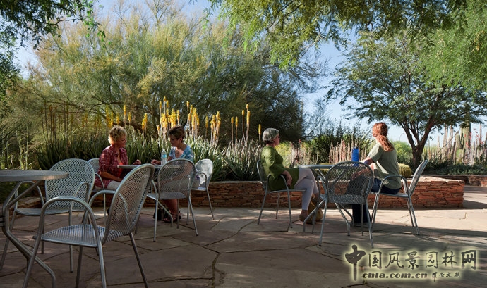 鳳凰城沙漠植物園入口花園