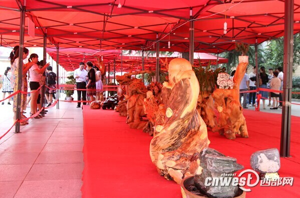 花卉 盆景 根雕