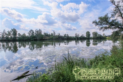 阿爾漢格爾斯克莊園