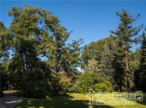 雅斯納亞 波良納