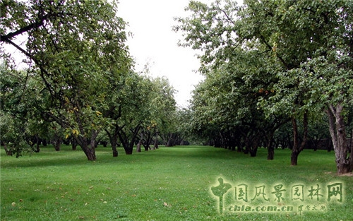 卡洛明斯科婭莊園