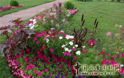 卡洛明斯科婭莊園