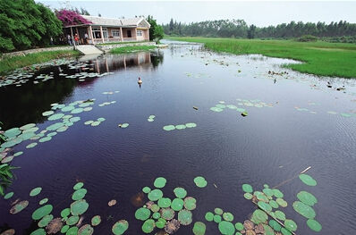 昌江海尾濕地公園風光