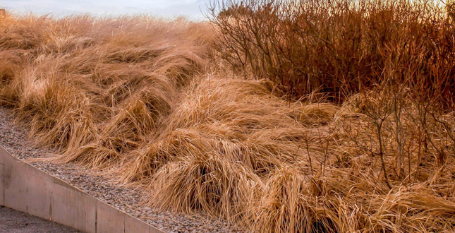 紐約薩加波納克住宅
