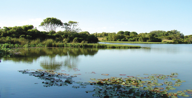 紐約薩加波納克住宅