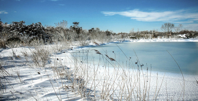 紐約薩加波納克住宅