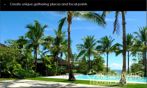為人們創造聚會的場所和一些具有焦點性的景觀