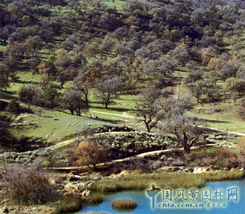 美國規(guī)劃景觀設(shè)計(jì)理念及全過程