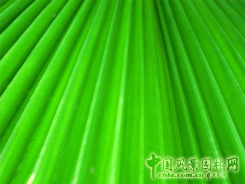 什么是綠色設(shè)計(jì)