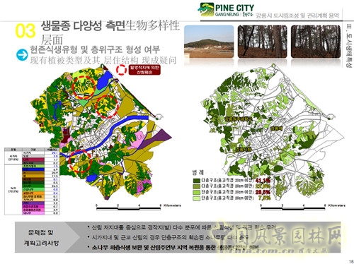 趙泰東:韓國江陵市城市林建設(shè)和管理計(jì)劃
