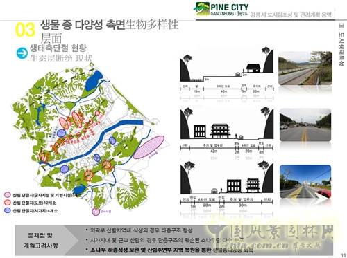 趙泰東:韓國江陵市城市林建設(shè)和管理計(jì)劃