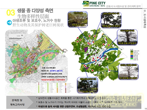 趙泰東：韓國江陵市城市林建設和管理計劃