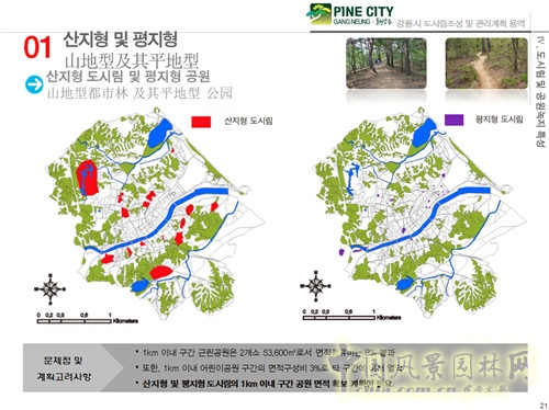 趙泰東：韓國江陵市城市林建設和管理計劃