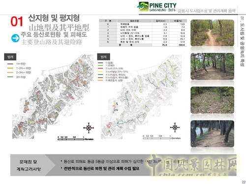 趙泰東：韓國江陵市城市林建設和管理計劃