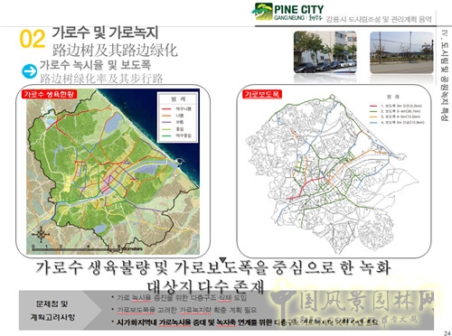 趙泰東：韓國江陵市城市林建設和管理計劃