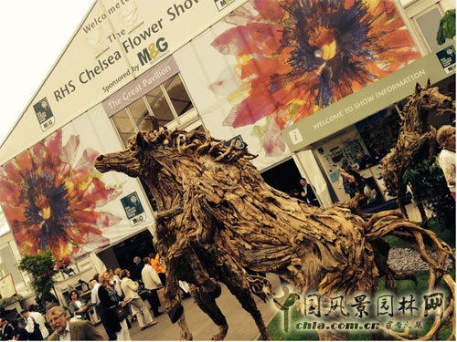 切爾西花展歷史悠久