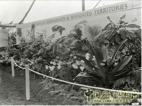 切爾西花展歷史悠久