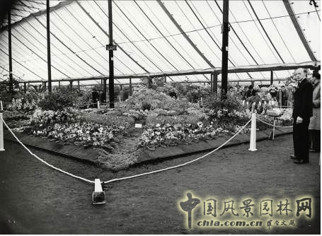 切爾西花展歷史悠久