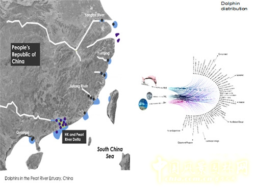 陳弘志：香港風景園林教育的新發(fā)展