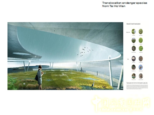 陳弘志：香港風景園林教育的新發展