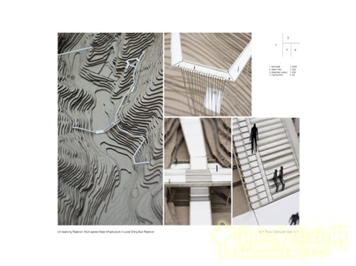 陳弘志：香港風景園林教育的新發展