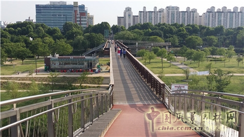 韓國仙游島公園