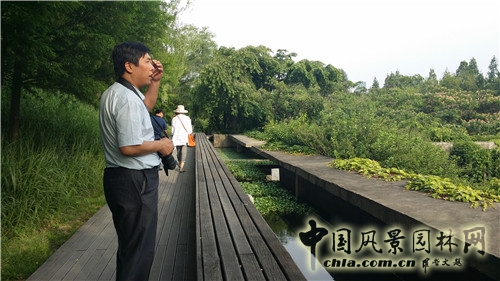 韓國仙游島公園