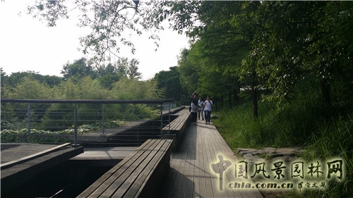 韓國仙游島公園