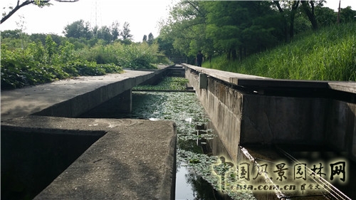韓國仙游島公園