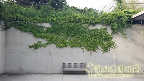 韓國仙游島公園