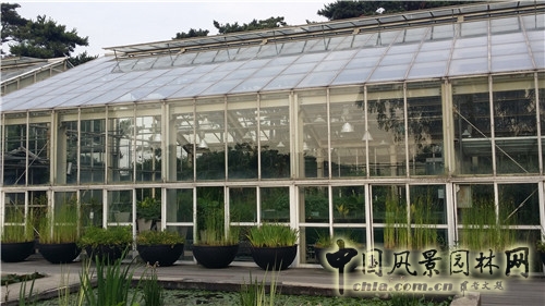 韓國仙游島公園