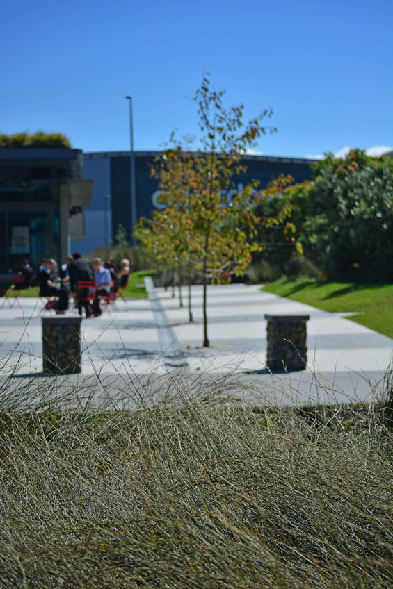 新西蘭奧克蘭廣場設計