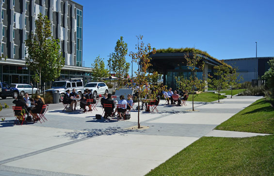 新西蘭奧克蘭廣場設(shè)計