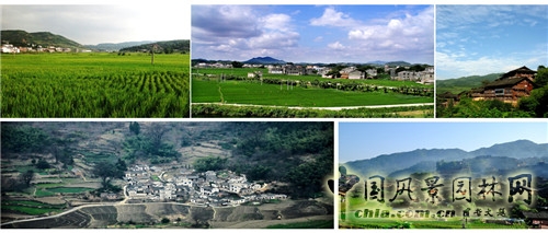 張成：中國西部城鎮化進程中的城市綠地系統規劃