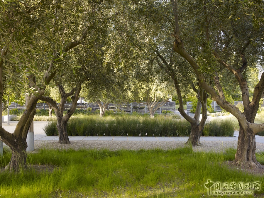 梅德洛克艾姆斯品酒屋和亞歷山峽谷酒吧