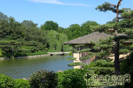 莫斯科總植物園