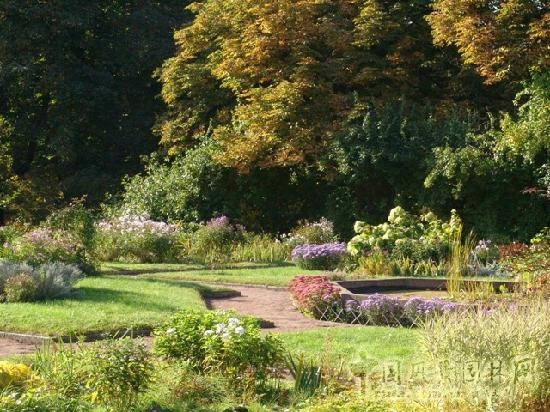 莫斯科總植物園