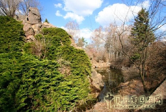 莫斯科總植物園