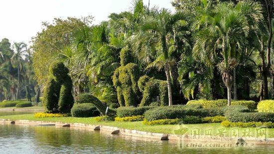 莫斯科總植物園