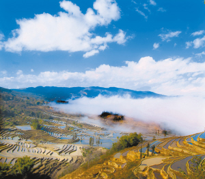 自然遺產 文化遺產 遺產申報 世界遺產