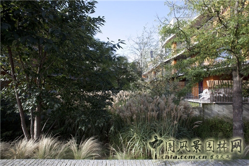 里爾林中社區(qū)