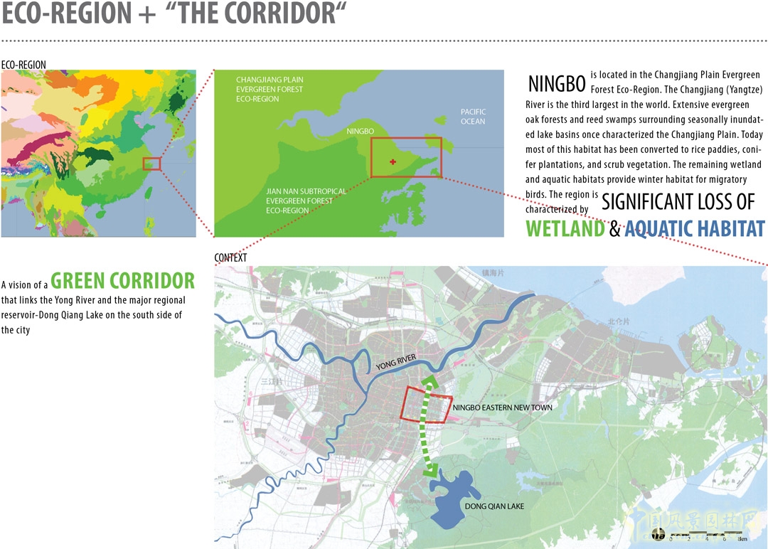 生態走廊區內,運河曾經是寧波的標志