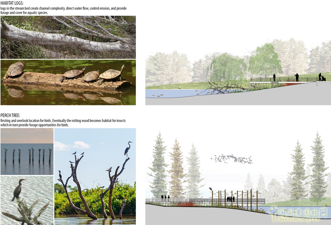 區(qū)域生態(tài)環(huán)境