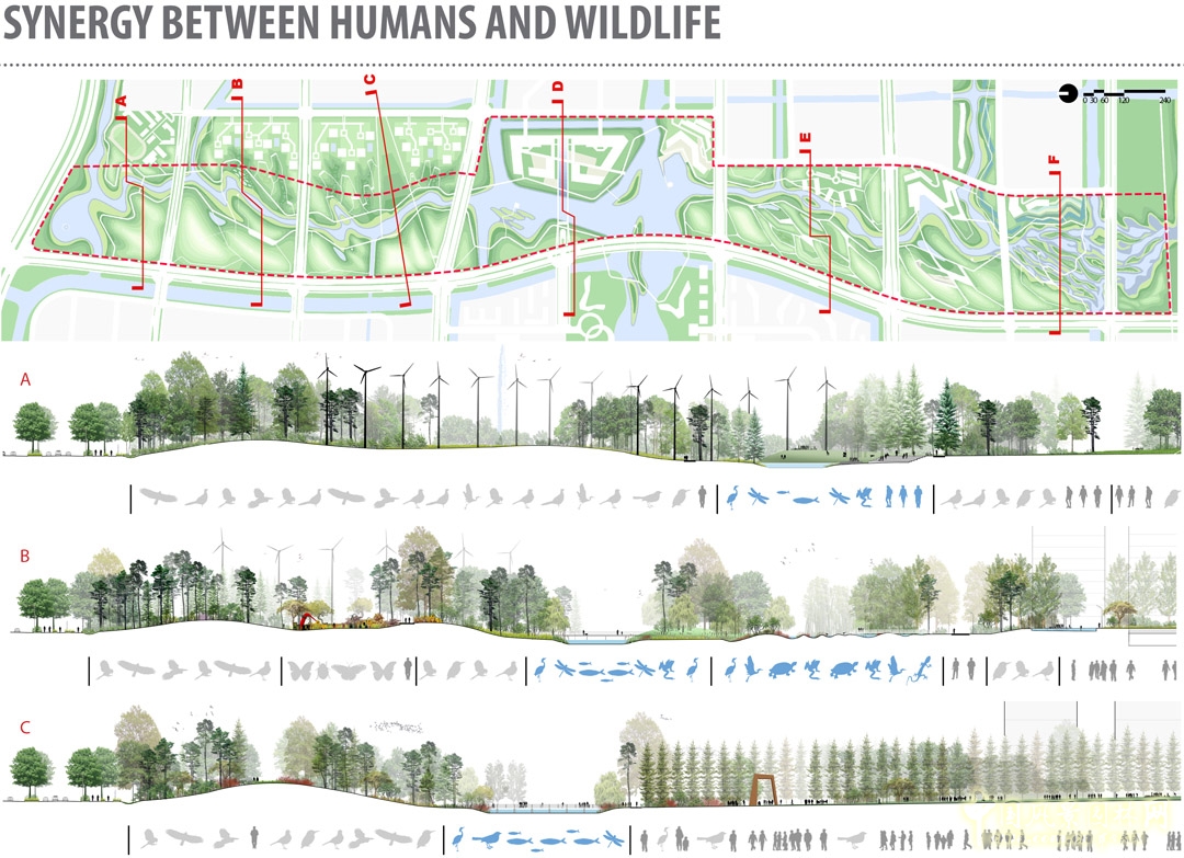 生態(tài)走廊區(qū)經(jīng)過精心分級,形成山丘山谷地形。
