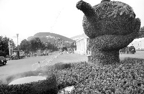 奧體北門的大茶壺