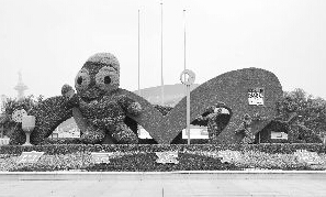 奧體東門的綠雕