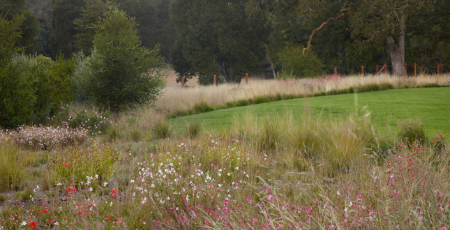 ASLA住宅景觀設計類榮譽獎：伍德賽德住宅區